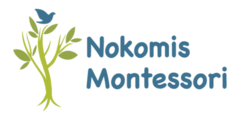 Nokomis Montessori South Campus