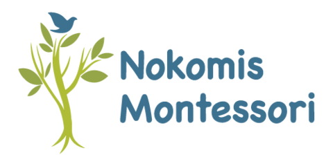 Nokomis Montessori South Campus